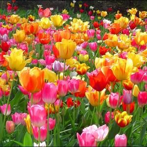 Meet your Posher, Vicky